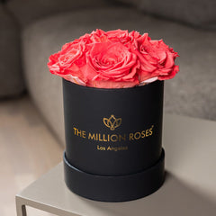 Essence Black Box | Coral Roses