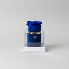 The Unlisted Edition | Royal Blue Suede | Royal Blue Signature Rose