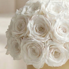 Essence Gold Superdome Box | White Roses
