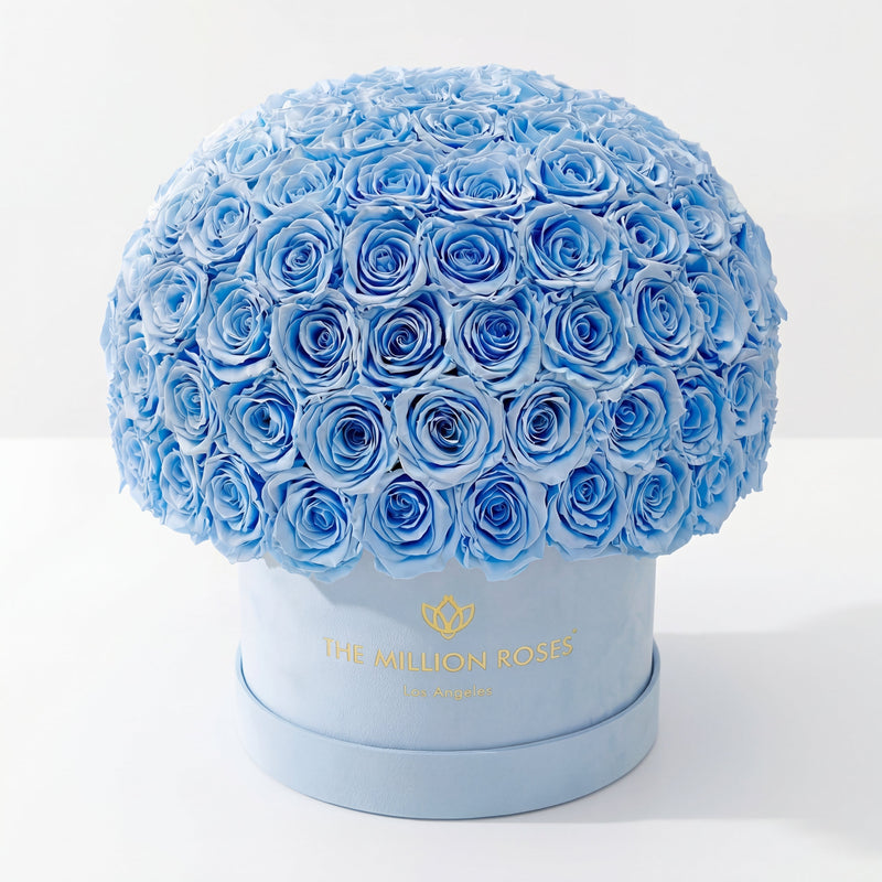 Supreme Light Blue Suede Superdome Box | Light Blue Roses