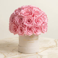Essence Beige Suede Superdome Box | Light Pink Roses