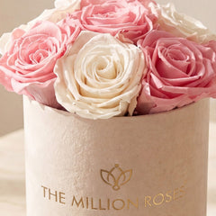 Essence Beige Suede Box | Light Pink & White Roses