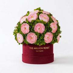 Classic Bordeaux Suede Box | Light Pink Persian Buttercups & Green Hydrangeas