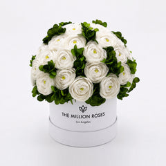 Classic White Box | White Persian Buttercups & Green Hydrangeas