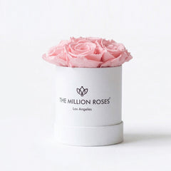 Essence White Box | Light Pink Roses