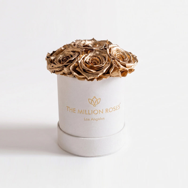 Essence Beige Suede Box | Gold Roses