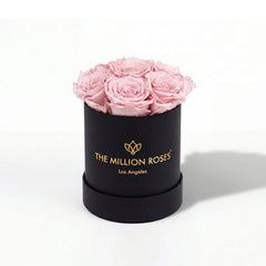Essence Black Box | Light Pink Roses