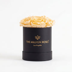 Essence Black Box | Ivory Roses