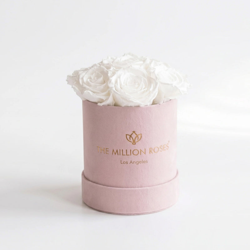 Essence Light Pink Suede Box | White Roses
