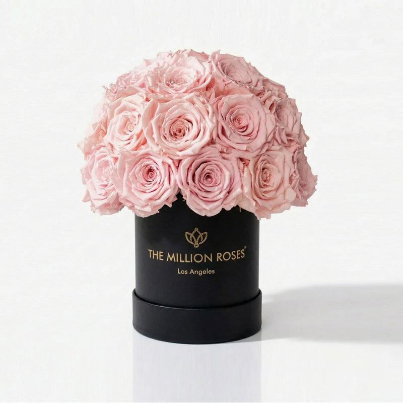 Essence Black Superdome Box | Light Pink Roses