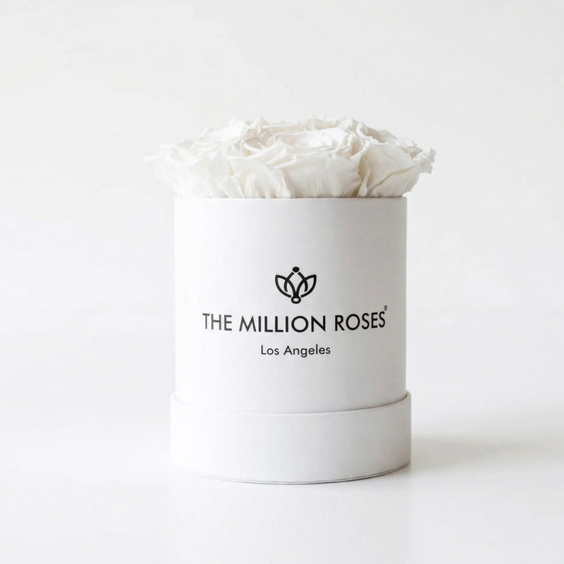Essence White Box | White Roses