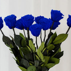 Long Stem Roses | Royal Blue Roses