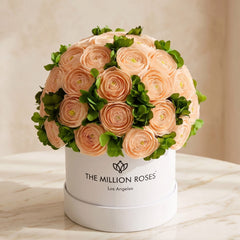 Classic White Box | Peach Persian Buttercups & Green Hydrangeas